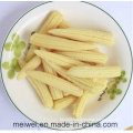 Canned Whole Baby Corn with Cheap Price